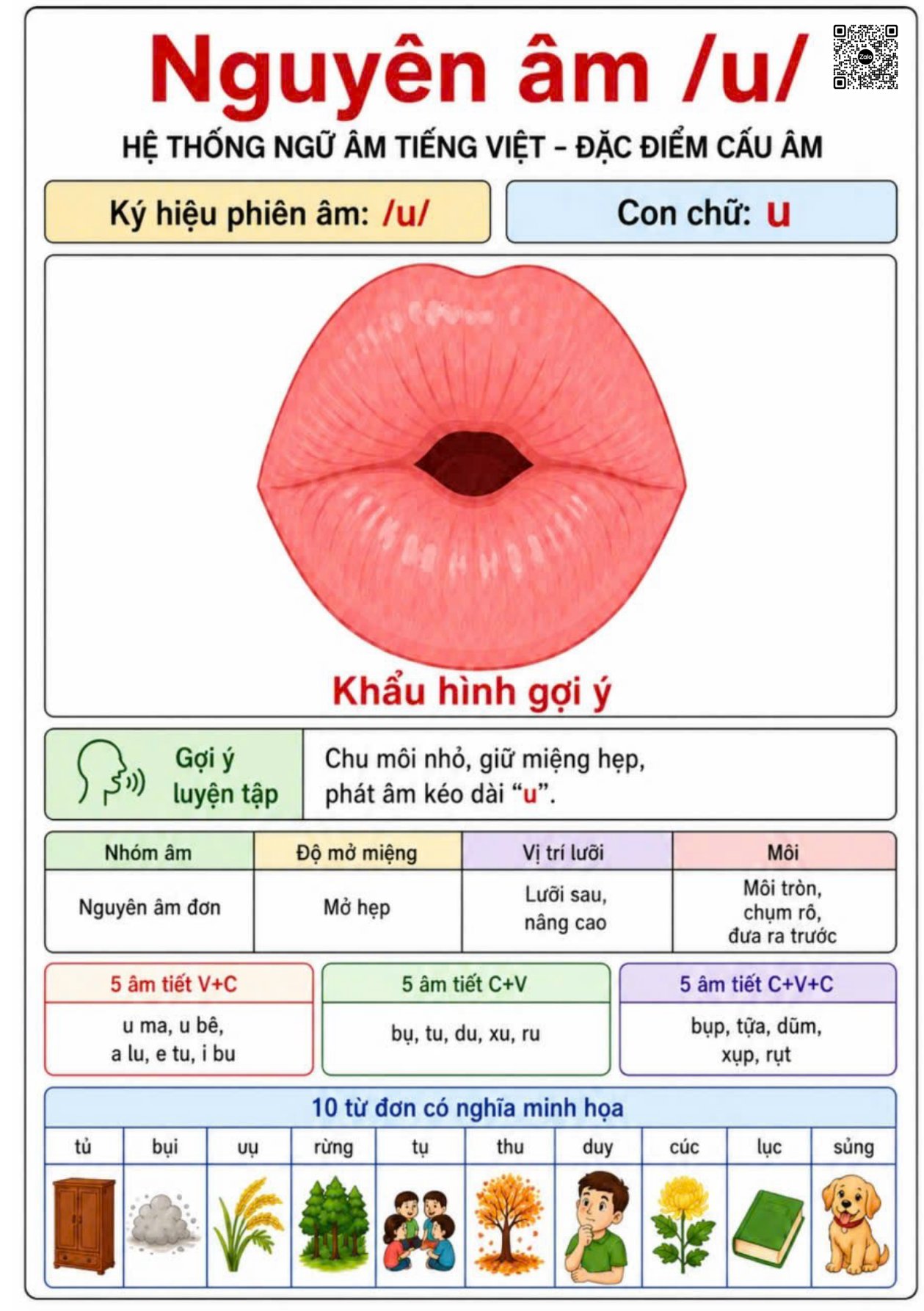 Bộ THẺ STACT - DAY PHÁT ÂM
